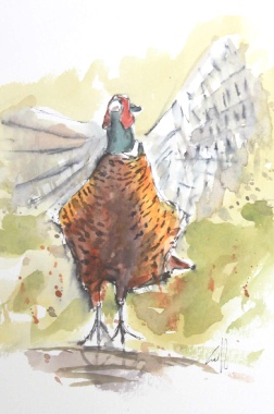 Field_guide_birds_honduras_flycatchers_ian_griffiths