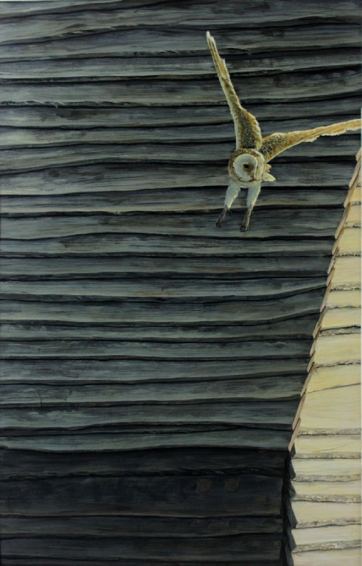 original_barn_owl_painting_by_ian_griffiths