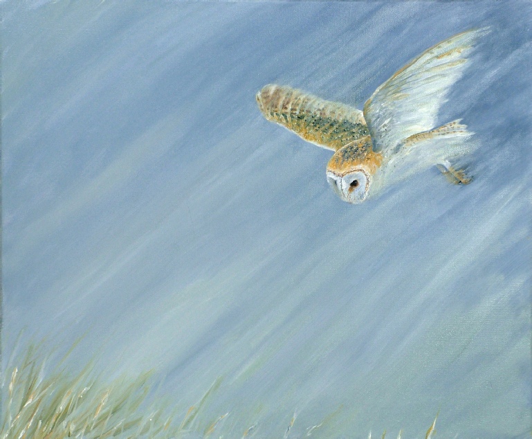 Barn_owl_original_painting_by_ian_griffiths