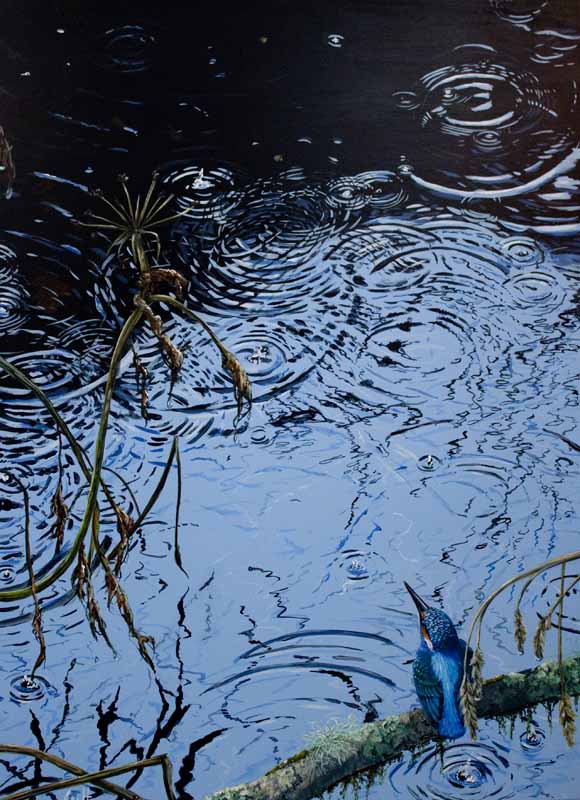 original_kingfisher_painting_ripples_ian_griffiths