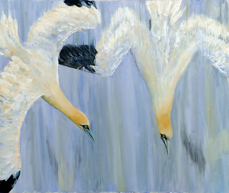 Gannets_diving_original_painting_by_ian_griffiths