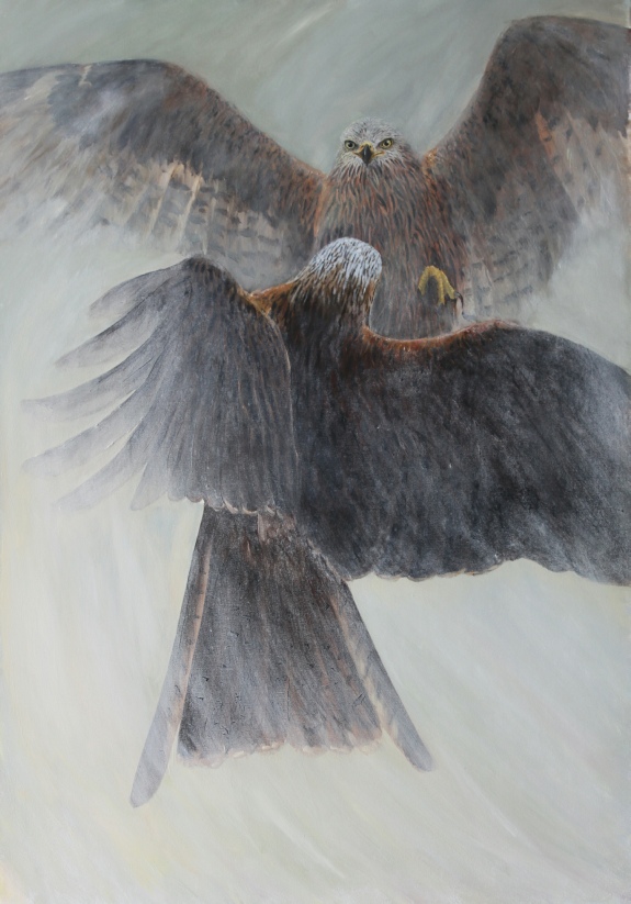 Red_kites_sparring_original_painting_by_ian_griffiths